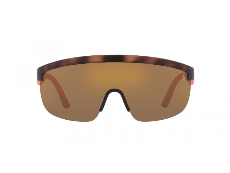 Polo Ochelari de Soare PH 4156 6070F9