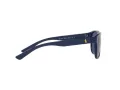 Polo Ochelari de Soare PH 4180U 5620/80 56