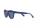 Polo Ochelari de Soare PH 4184 5235/80