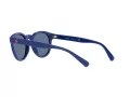 Polo Ochelari de Soare PH 4184 5235/80