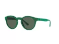Polo Ochelari de Soare PH 4184 6017/71