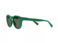 Polo Ochelari de Soare PH 4184 6017/71