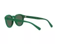 Polo Ochelari de Soare PH 4184 6017/71