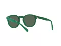 Polo Ochelari de Soare PH 4184 6017/71
