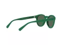 Polo Ochelari de Soare PH 4184 6017/71
