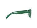 Polo Ochelari de Soare PH 4184 6017/71