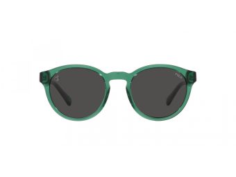 Polo Ochelari de Soare PH 4192 608487