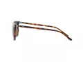 Polo Ochelari de Soare PH 4194U 608980