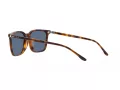 Polo Ochelari de Soare PH 4194U 608980