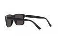 Polo Ochelari de Soare PH 4195U 500187 57