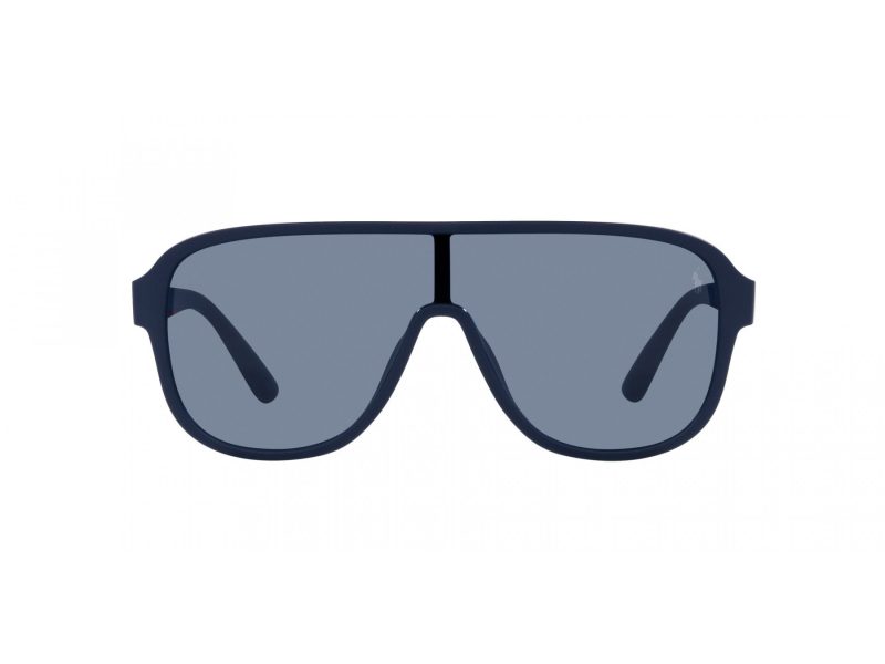 Polo Ochelari de Soare PH 4196U 590480