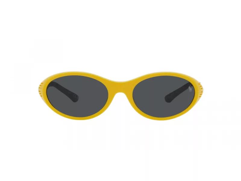 Polo Ochelari de Soare PH 4197U 596187