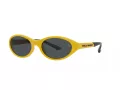 Polo Ochelari de Soare PH 4197U 596187