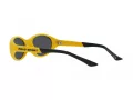 Polo Ochelari de Soare PH 4197U 596187