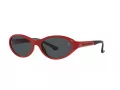 Polo Ochelari de Soare PH 4197U 609187