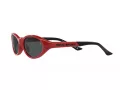 Polo Ochelari de Soare PH 4197U 609187