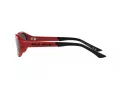 Polo Ochelari de Soare PH 4197U 609187