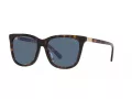 Polo Ochelari de Soare PH 4201U 500380