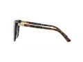 Polo Ochelari de Soare PH 4201U 500380
