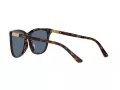 Polo Ochelari de Soare PH 4201U 500380