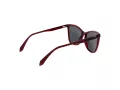 Polaroid Ochelari de Soare PLD 4194/S C9A/M9 55