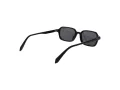 Polaroid Ochelari de Soare PLD 4219/S 807/M9 53