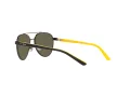 Polo Ochelari de Soare PP 9001 9003/3