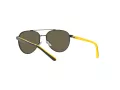 Polo Ochelari de Soare PP 9001 9003/3