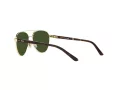Polo Ochelari de Soare PP 9001 9189/71