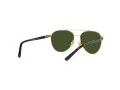 Polo Ochelari de Soare PP 9001 9189/71
