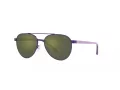 Polo Ochelari de Soare PP 9001 94596R
