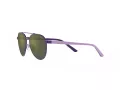 Polo Ochelari de Soare PP 9001 94596R