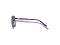 Polo Ochelari de Soare PP 9001 94596R
