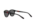 Polo Ochelari de Soare PP 9502 5001/87