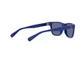 Polo Ochelari de Soare PP 9504U 5235/80