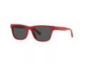 Polo Ochelari de Soare PP 9504U 5257/87