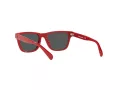 Polo Ochelari de Soare PP 9504U 5257/87