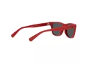 Polo Ochelari de Soare PP 9504U 5257/87