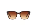 Ralph Ochelari de Soare RA 5206 137813 51