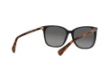 Ralph Vvcv Ochelari de Soare RA 5293 6037T3 56