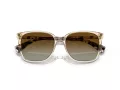 Ralph Vvcv Ochelari de Soare RA 5293 6072T5 56