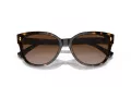 Ralph Ochelari de Soare RA 5305U 500313 56