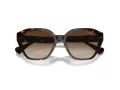 Ralph Ochelari de Soare RA 5315U 500313 54