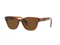 Ray-Ban Ochelari de Soare RB 0880S 6640/57 52