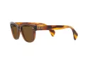 Ray-Ban Ochelari de Soare RB 0880S 6640/57 52