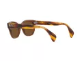 Ray-Ban Ochelari de Soare RB 0880S 6640/57 52