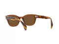 Ray-Ban Ochelari de Soare RB 0880S 6640/57 52
