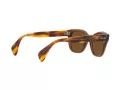 Ray-Ban Ochelari de Soare RB 0880S 6640/57 52