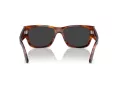 Ray-Ban Carlos Ochelari de Soare RB 0947S 954/48 56