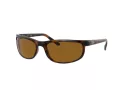 Ray-Ban Predator 2 Ochelari de Soare RB 2027 6508/33